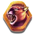 icon 5