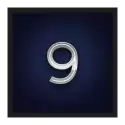 icon 14