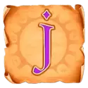 icon 10