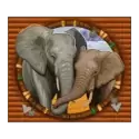 icon 2