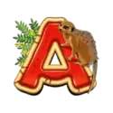 icon 5