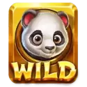 icon 10