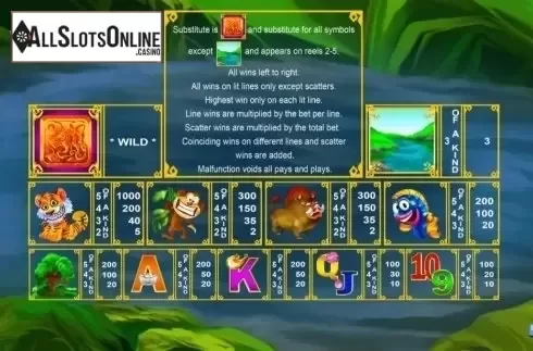 Paytable. Mr Tiger from August Gaming
