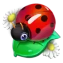 icon 4