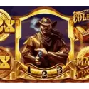 Bonus Buy Hold & Win Feature