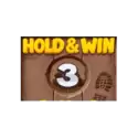 Bonus Buy Hold and Spin
