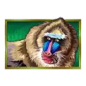 icon 2