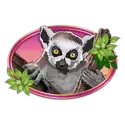 icon 3