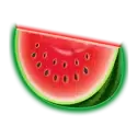 icon 5