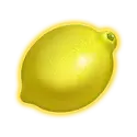 icon 9