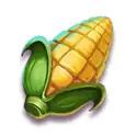icon 6