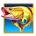 icon 10