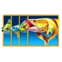 icon 4