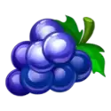 icon 5