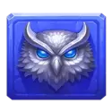 icon 4