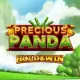Precious Panda: Hold & Win