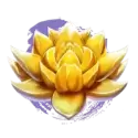 icon 2