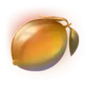 icon 7