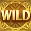 icon 9