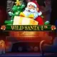 Wild Santa 2