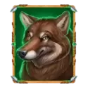 icon 4