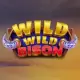 Wild Wild Bison