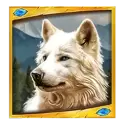 icon 1