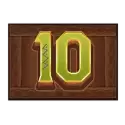 icon 10