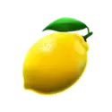 icon 7