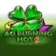 40 Burning Hot 6 Reels