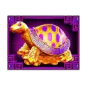 symbol 5