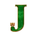 icon 9