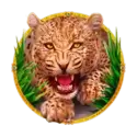 icon 3