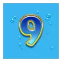 icon 13
