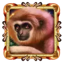 icon 2