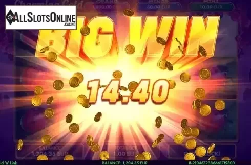 Big Win Screen 2