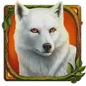 icon 4