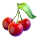 icon 6