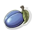 icon 6