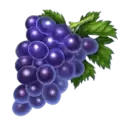 icon 4