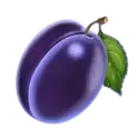 icon 5