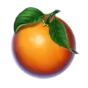 icon 6