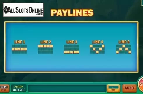 PayLines screen