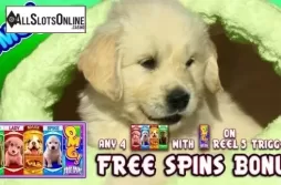OMG! Puppies