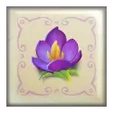 icon 5