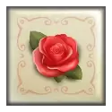 icon 4