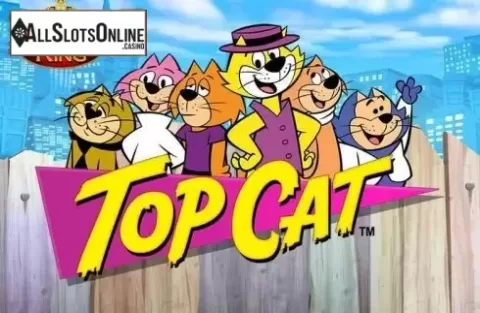 Top Cat