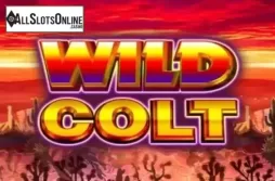 Wild Colt