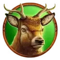 icon 3