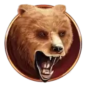 icon 2